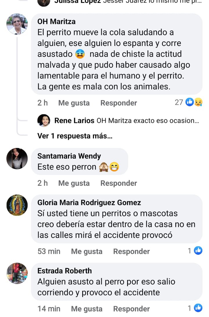 Perro Se Le Atraviesa A Piloto De Mototaxi Y Provoca Que Choque Contra Poste