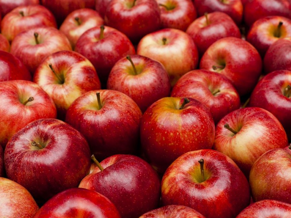 Beneficios de comer manzana regularmente 