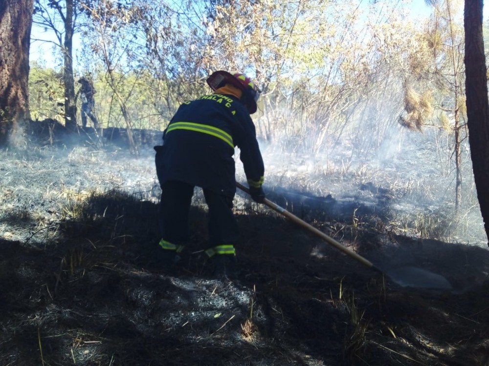 Bomberos controlan incendio forestal en San Marcos 