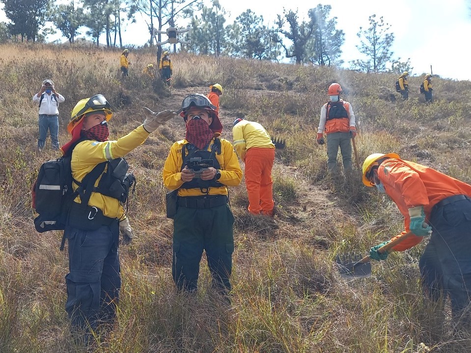 Bomberos Forestales Arriesgan Su Vida Para Controlar Incendios