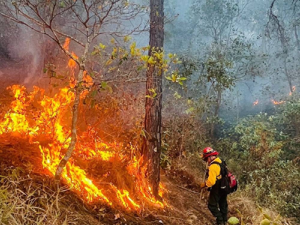 Brigadas contra incendios forestales están preparadas para responder ante emergencias 