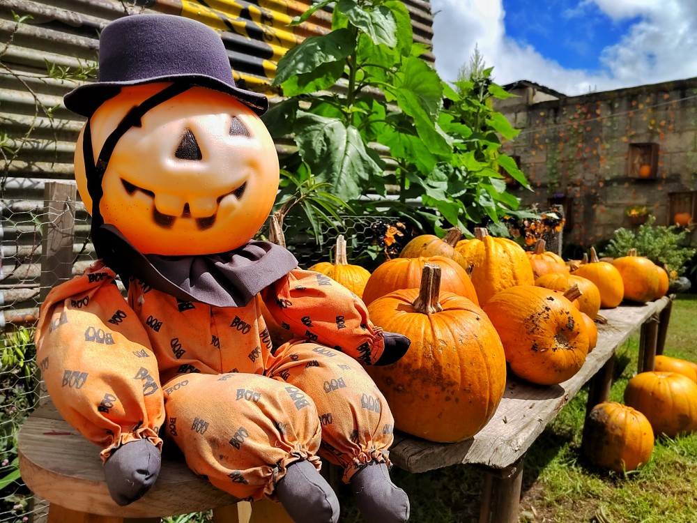 Casa Calabaza Xela, un concepto turístico de época