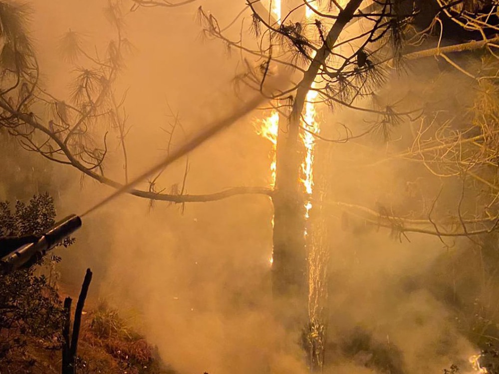 Controlan incendio forestal en San Marcos que amenzaba con propagarse a viviendas cercanas 