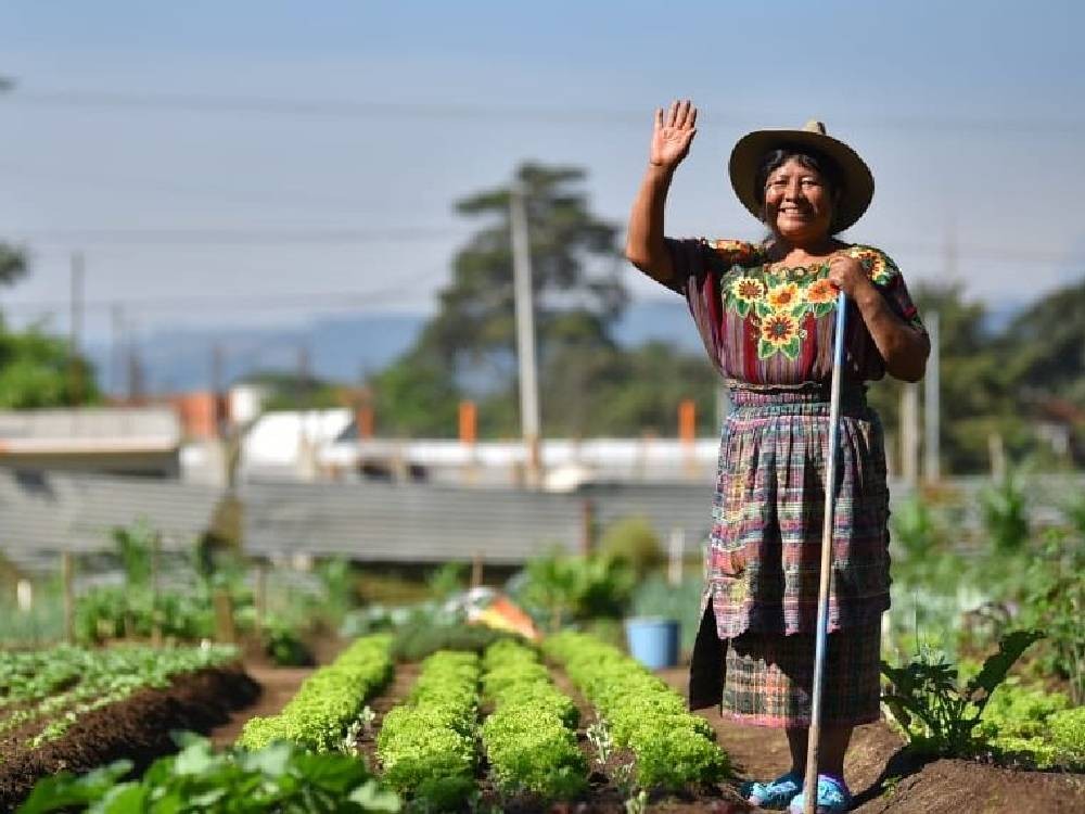 Día Internacional de la Mujer 2025: Llaman a acelerar las acciones para alcanzar la igualdad de género 