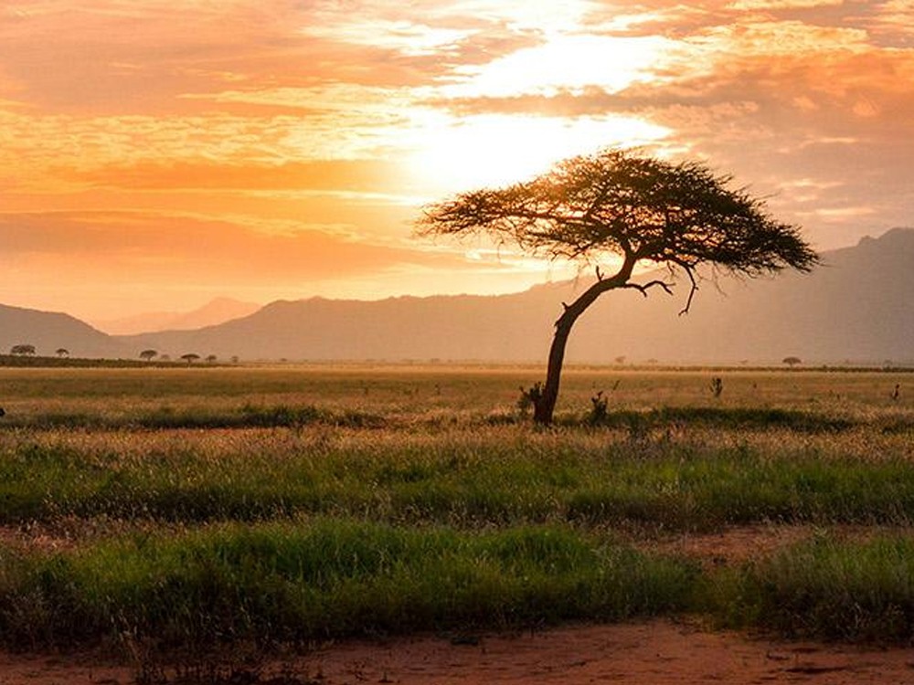 Día Mundial del Medio Ambiente: nuestras tierras, nuestro futuro