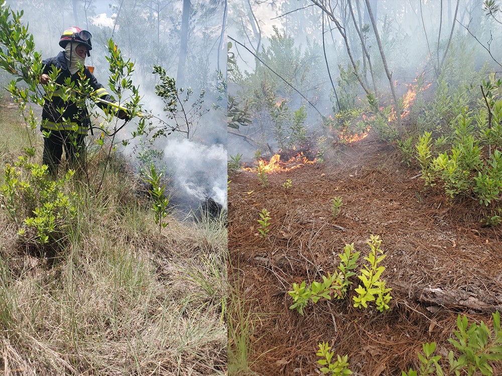 Falta de lluvias provoca nuevamente incendio forestal.