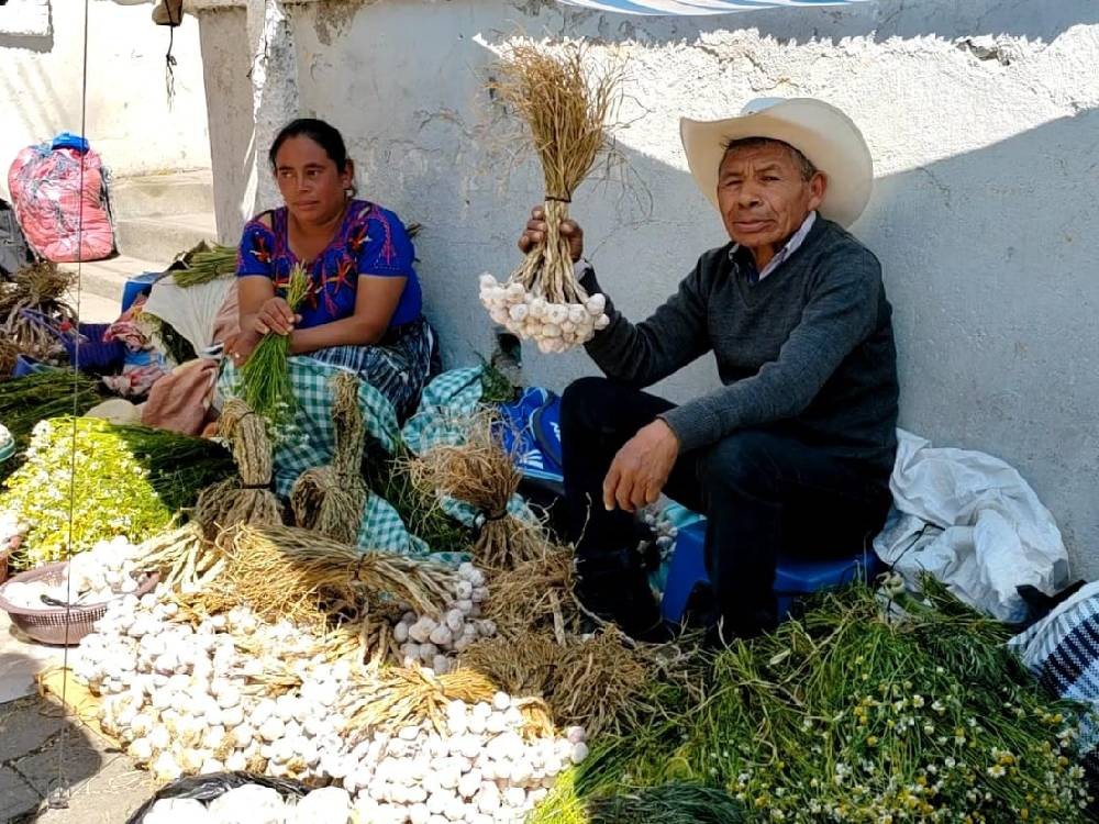 Feligreses piden bendición de plantas medicinales