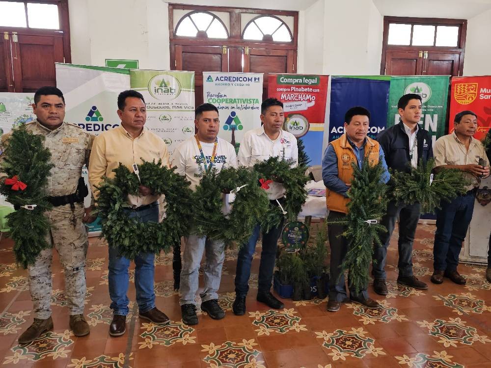 Feria del Pinabete tiene como objetivo fomentar la compra legal de árboles y subproductos de esta especie 