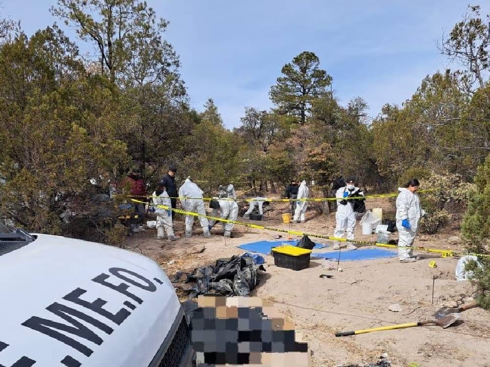 Hallan 56 cadáveres en fosas comunes cerca a la frontera entre México y Estados Unidos