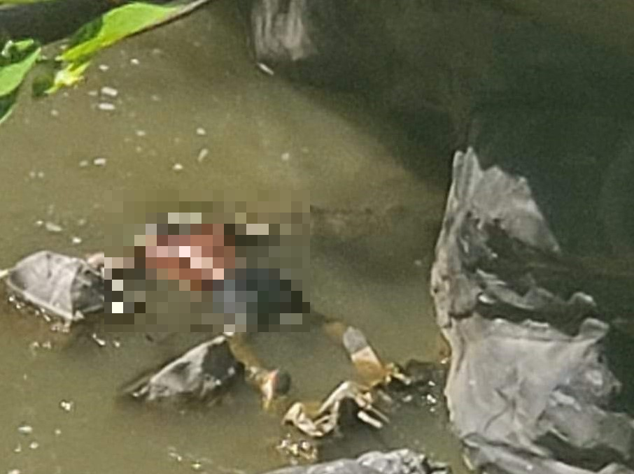 Hombre es encontrado sin vida y flotando en la corriente del río Selegua