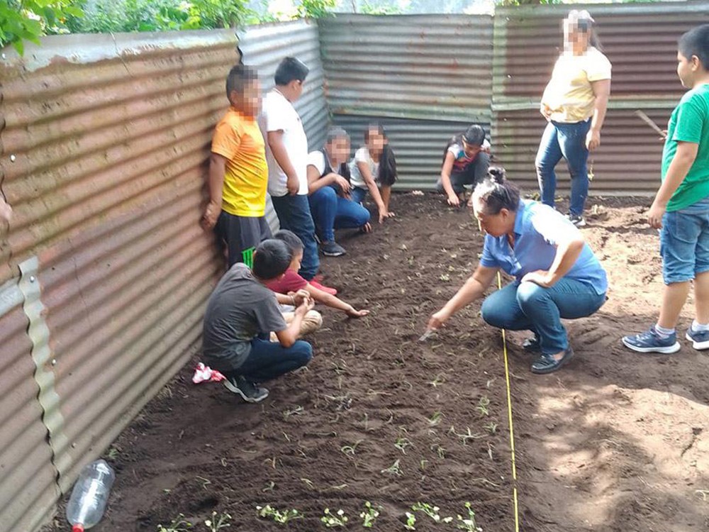 Implementan huertos escolares en San Marcos 