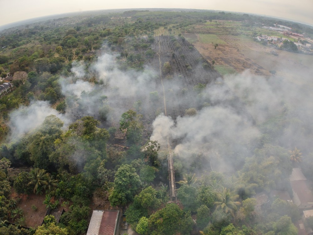 Incendio forestal causa daños en plantación de café, flora y fauna de Mazatenango