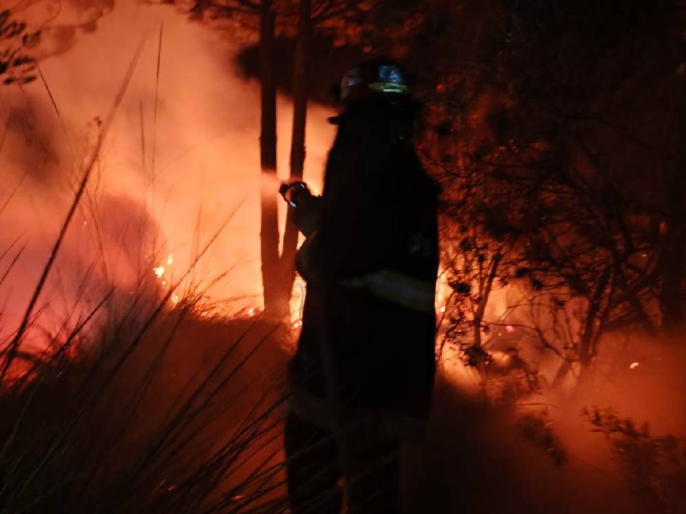 Incendio forestal consume 10 cuerdas de bosque