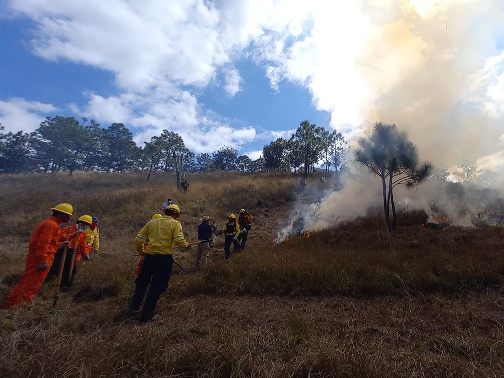 Incendios forestales han dañado más de 600 hectáreas de bosque en Huehuetenango