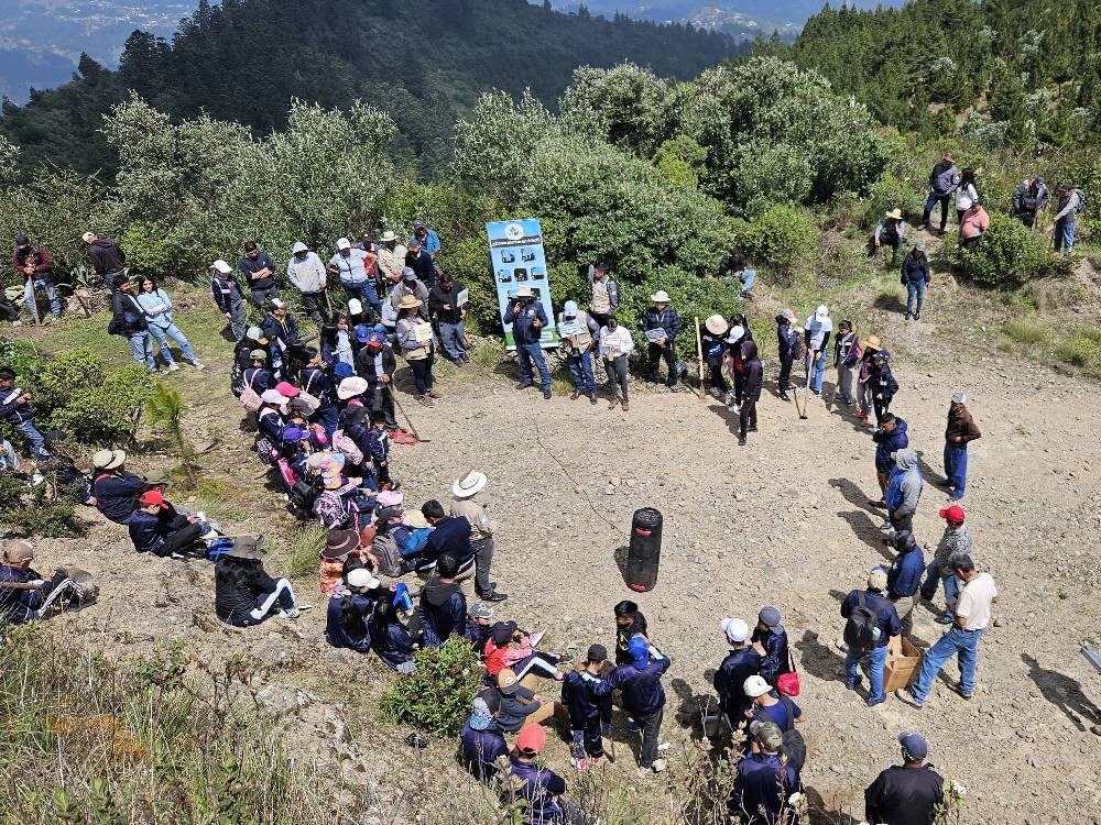 Inician campaña de reforestación en San Marcos
