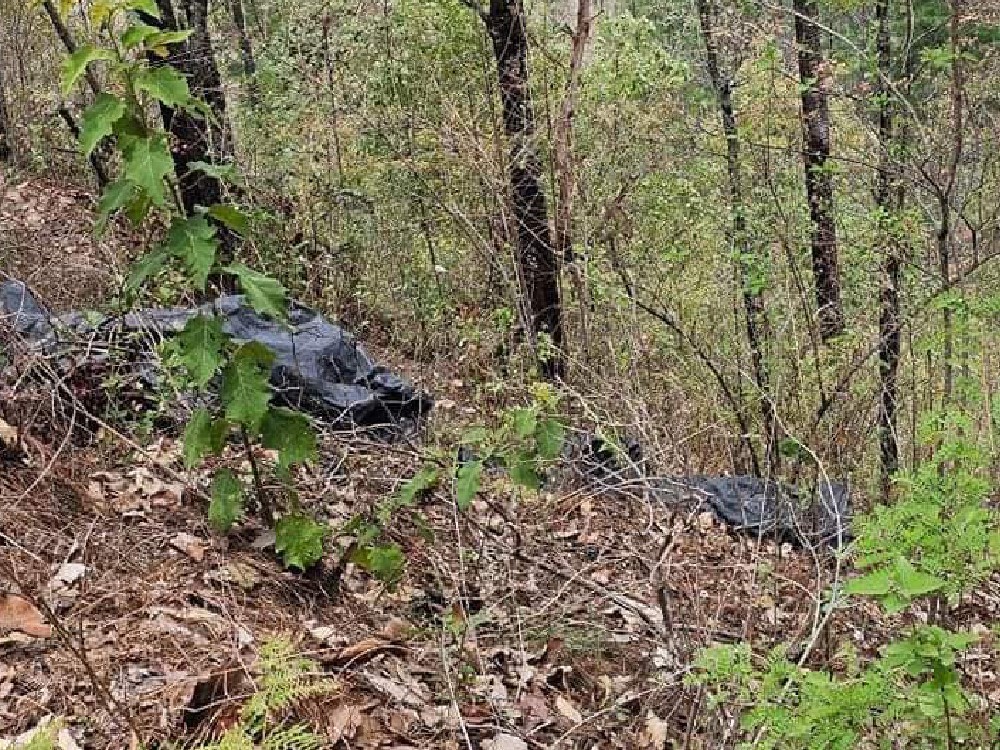 Investigan muerte de dos mujeres localizadas en un área boscosa en San Carlos Sija 