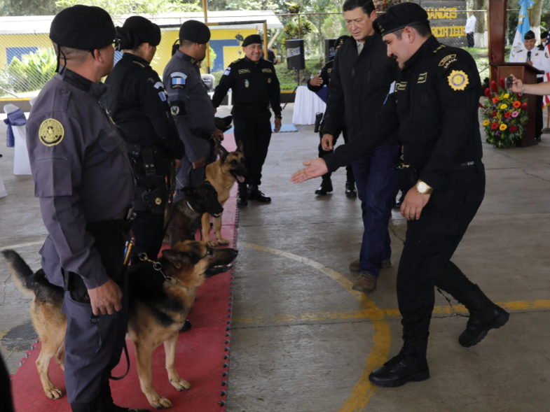 Ministerio de Gobernación recibe 22 agentes caninos antinarcóticos