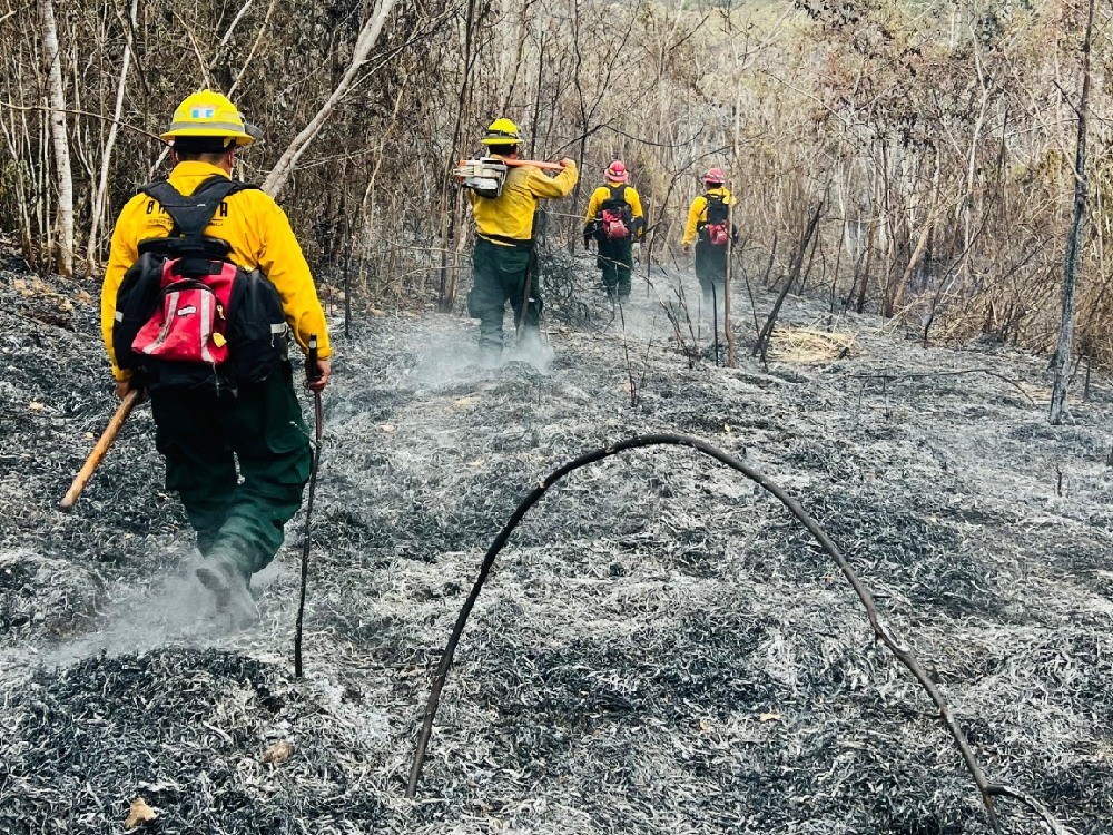 Pérdidas incalculables en selva Maya tras 62 días de incendios