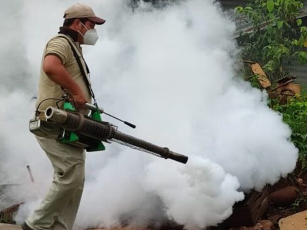 Salud combate brotes de zancudos por condiciones climáticas