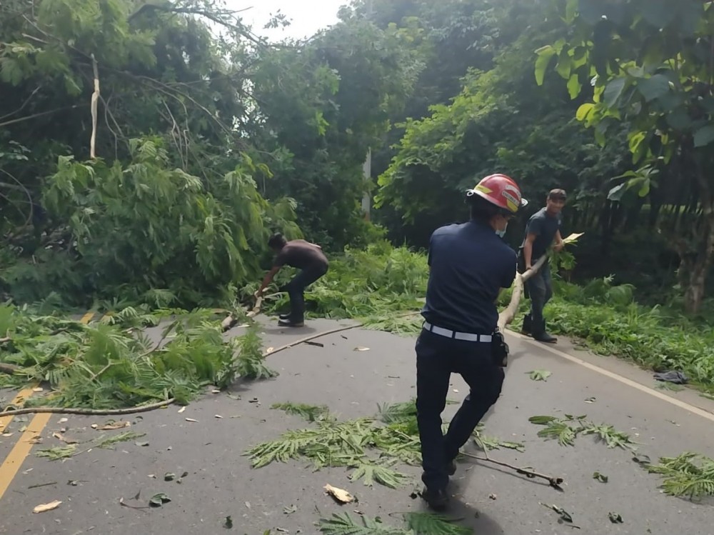 Talan y podan árboles para evitar accidentes en la Ruta Centroamericana