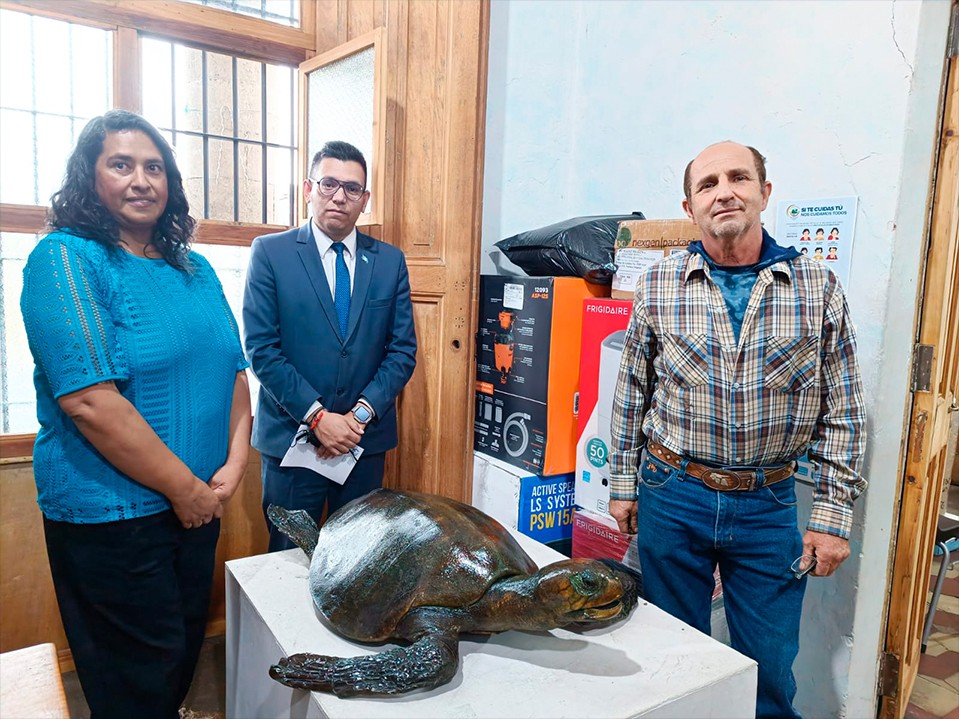 Taxidermista guatemalteco apoya a museo de Quetzaltenango para restaurar animales 