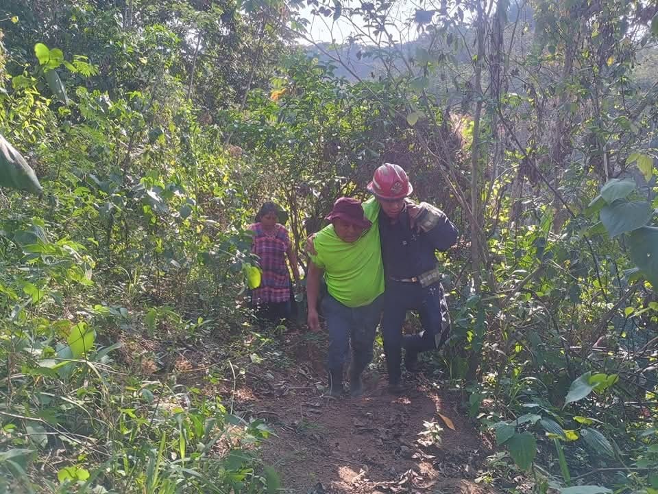 Trabajadores son atacados por un enjambre de abejas 