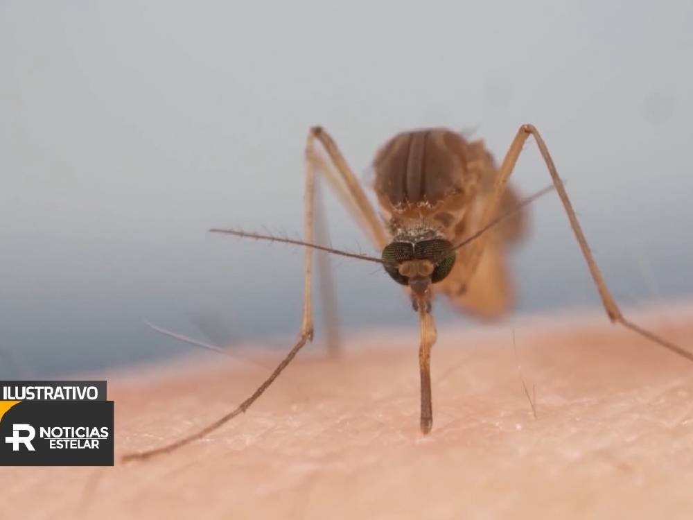 VIDEO | Quetzaltenango lidera casos de dengue a nivel nacional 
